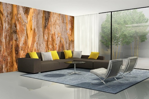 Vlies Fototapete - Textur von Eukalyptus Baum 375 x 250 cm